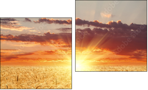 Wheat field at sunset - Two-piece canvas print, Diptych