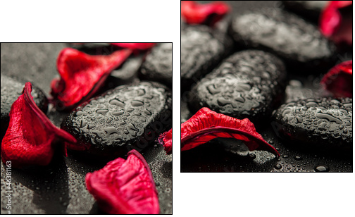 background spa. black stones and red petals with water droplets - Two-piece canvas print, Diptych