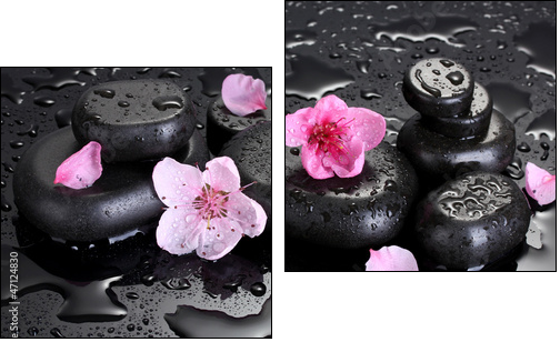 Spa stones with drops and pink sakura flowers - Two-piece canvas print, Diptych