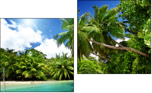 lake and palms, Mahe island, Seychelles - Two-piece canvas print, Diptych