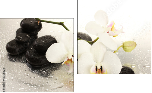 Spa stones and orchid flowers, isolated on white. - Two-piece canvas print, Diptych