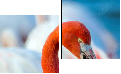 Pink flamingo on the lake - Two-piece canvas print, Diptych