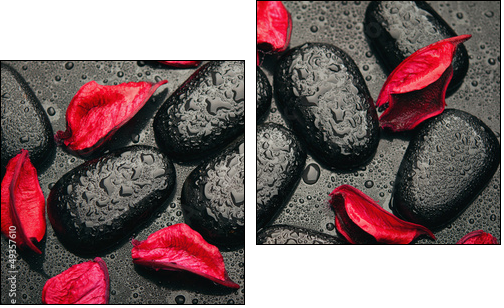 background spa. black stones and red petals with water droplets - Two-piece canvas print, Diptych