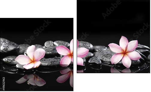 Set of three frangipani and black pebbles - Two-piece canvas print, Diptych