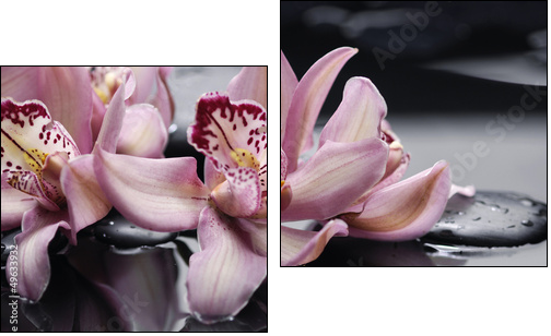 spa concept âgorgeous pink orchid and zen stones - Two-piece canvas print, Diptych
