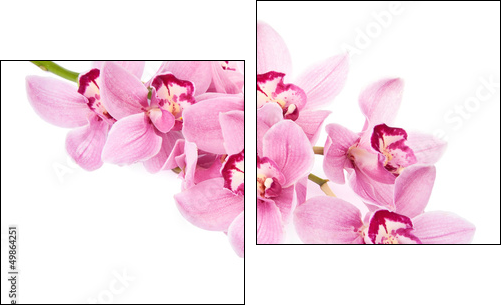 pink orchid flowers isolated - Two-piece canvas print, Diptych