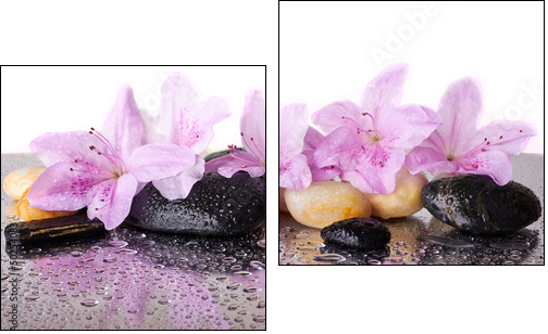 Pink flowers and black stones - Two-piece canvas print, Diptych