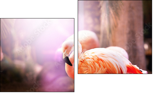 Flamingo - Two-piece canvas print, Diptych