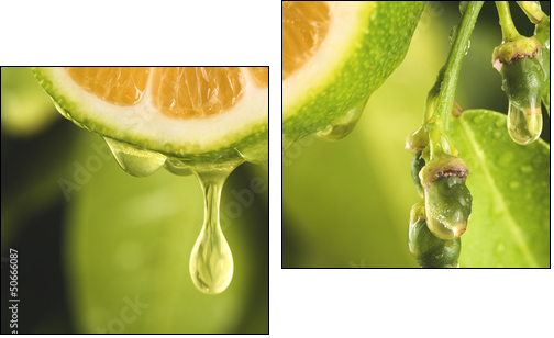 Drop of juice from a sliced lemon - Two-piece canvas print, Diptych