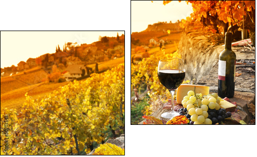 Glass of red wine on the terrace vineyard in Lavaux region, Swit - Two-piece canvas print, Diptych