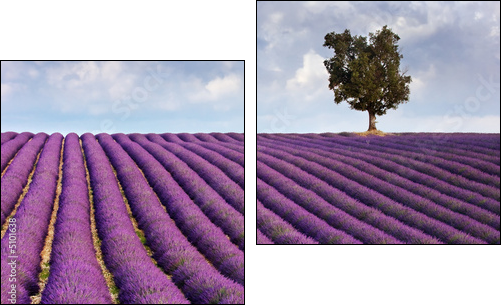 Lavender field and a lone tree - Two-piece canvas print, Diptych
