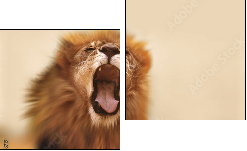 Lion - Two-piece canvas print, Diptych