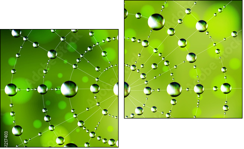 Abstract spider web with dew drops - Two-piece canvas print, Diptych