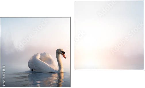 Art Swan floating on the water at sunrise of the day - Two-piece canvas print, Diptych