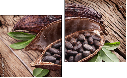 Cocoa pod - Two-piece canvas print, Diptych