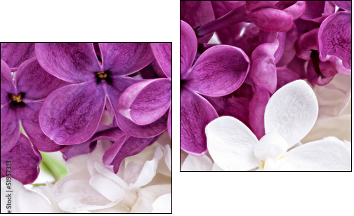Beautiful Bunch of violet and white Lilac - Two-piece canvas print, Diptych