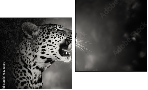 Leopard portrait - Two-piece canvas print, Diptych