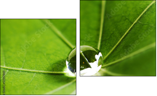 Water drop on green leaf - Two-piece canvas print, Diptych