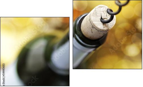Cork screw and wine bottle - Two-piece canvas print, Diptych