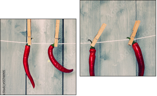 Chili pepper - Two-piece canvas print, Diptych