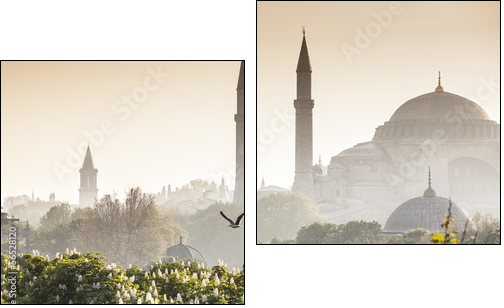 Sultanahmet Camii / Blue Mosque, Istanbul, Turkey - Two-piece canvas print, Diptych