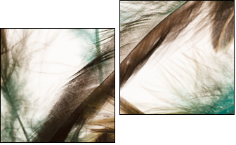 Color feathers - Two-piece canvas print, Diptych