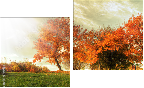 Autumn landscape - Two-piece canvas print, Diptych