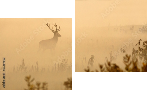 Red deer with big antlers stands on meadow on foggy morning - Two-piece canvas print, Diptych
