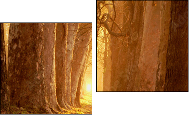 magic path - Two-piece canvas print, Diptych