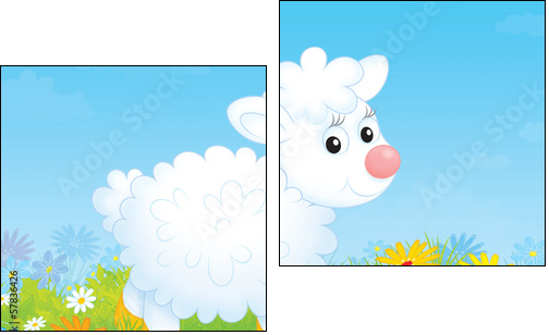 Little white sheep walking on a flowery meadow - Two-piece canvas print, Diptych