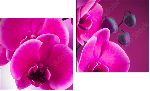 natural floral background, spa concept - Two-piece canvas print, Diptych