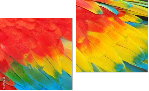 Parrot feathers, red and blue exotic texture - Two-piece canvas print, Diptych