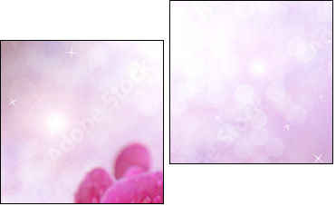 Beautiful blooming orchid  on light color background - Two-piece canvas print, Diptych