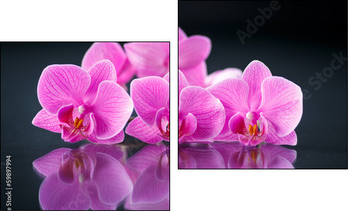 beautiful branch Phalaenopsis - Two-piece canvas print, Diptych