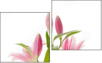 Pink lily - Two-piece canvas print, Diptych