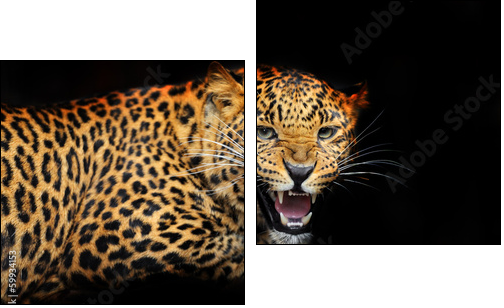 Portrait of leopard in its natural habitat - Two-piece canvas print, Diptych