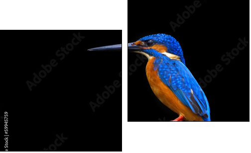 Kingfisher - Two-piece canvas print, Diptych