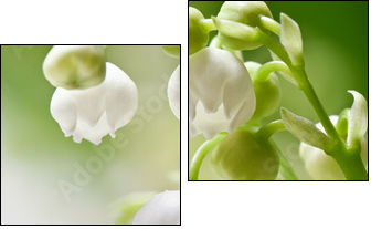Delicate flowers on a branch of lily of the valley - Two-piece canvas print, Diptych