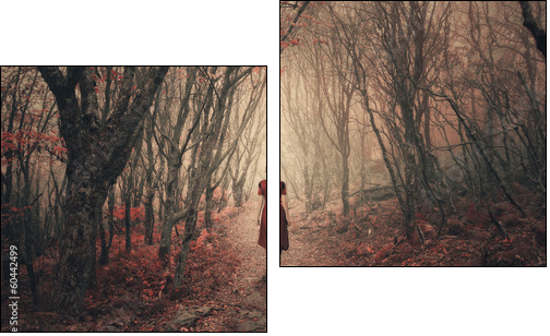 Woman and foggy forest. - Two-piece canvas print, Diptych