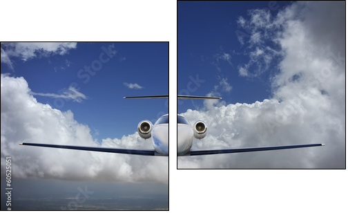 Executive in flight - Two-piece canvas print, Diptych