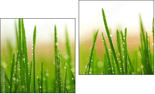 Green wet grass with dew on a blades - Two-piece canvas print, Diptych