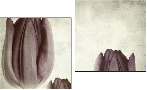 textured old paper background - Two-piece canvas print, Diptych