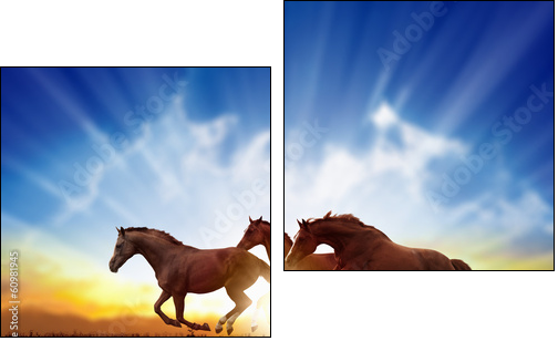 Running horses - Two-piece canvas print, Diptych