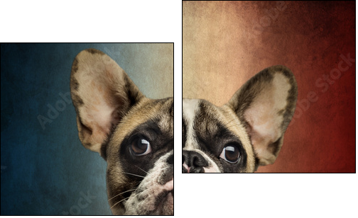 Close-up of a French Bulldog, on a vintage colored background - Two-piece canvas print, Diptych