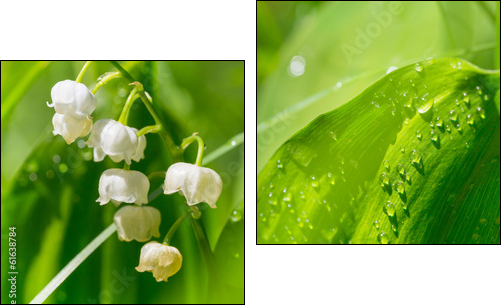 Lilly of the valley - Two-piece canvas print, Diptych
