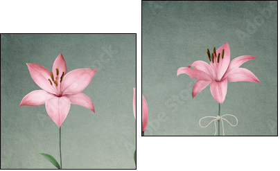 Three pink lily - Two-piece canvas print, Diptych