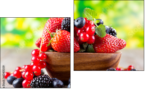 fresh berries - Two-piece canvas print, Diptych