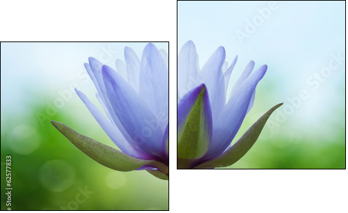 Blue lotus on spring background - Two-piece canvas print, Diptych