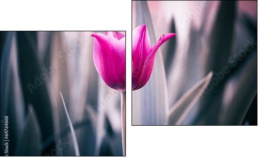 red tulip closeup - Two-piece canvas print, Diptych