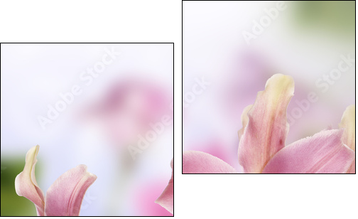 Lily.Flower card - Two-piece canvas print, Diptych